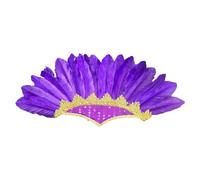Xinsheinelry Diadema de plumas indias étnicas, accesorio para disfraz de juego de rol, diadema para carnavales, tocado de celebración, tocado FatTuesday, diadema para actuaciones en escenario