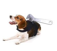 Xinsheinelry Disfraz divertido de Halloween para mascotas, disfraz de gatito, cosplay, ropa de asesinos para cachorros, gatitos, accesorios de fiesta, disfraces de Halloween para perros pequeños