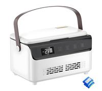 Xinsheinelry Double Layer Temperature Display Car Coolers Box with Temperature Display ABS Construction and Easy Transport Coolers Box Small