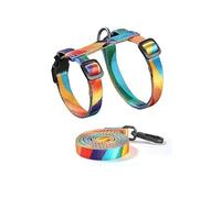 Xinsheinelry Juego de caminata de gato modificable, guía de 1,5 m, acolchado de red suave con ribete reflectante para observabilidad de día y noche, uso de cinta de conjuración