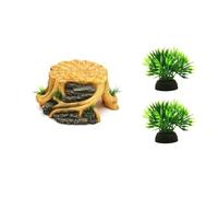 Xinsheinelry Nature Safe - Estante para tomar el sol con diseño estable, perfecto para tortugas en entornos acuáticos, múltiples tortugas