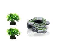 Xinsheinelry Nature Safe - Estante para tomar el sol con diseño estable, perfecto para tortugas en entornos acuáticos, múltiples tortugas