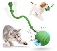 XINYUNXIN Juegos para gatos interactivos, bola de juguete para gatos eléctrica con sensor inteligente, carga USB, larga duración y materiales seguros - para estimular el instinto de caza (verde)