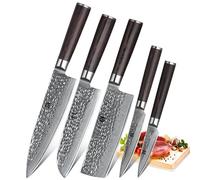 XINZUO 67 Capas de Acero de Damasco Set Cuchillos de Cocina 5 Piezas | Profesional Juegos de Cuchillos de Cocinero -Cuchillo Chef Santoku Nakiri Universal Fruta -Mango de Madera de Pakka