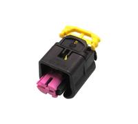 XIOKLM Enchufe automático de 2 Pines, Enchufe Sellado cableado Hembra 1 928 405 091, Conector Impermeable 1928405091 con terminales y Sellos(10pcs)