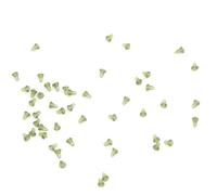 Xiuganpo 50 Uds. Aparejos de Pesca de Carpa de Plástico, Cebo para Detener el Pelo, Señuelo Flotante para Boilies, Material Transparente (Green)