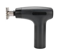 Xiuganpo Ablandador de Carne Eléctrico, Silencioso, Recargable, Inalámbrico | Cabezal de Martillo Desmontable de Acero Inoxidable 304, Motor de bajo Ruido de 30 W para Cocina Casera, Herramienta para