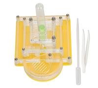 Xiuganpo Granja de Hormigas Acrílicas con Estuche de Observación Transparente, Diseño Antiescape para Niños, Juguete Científico Educativo, Kit de Hábitat de Insectos Seguro para Niños