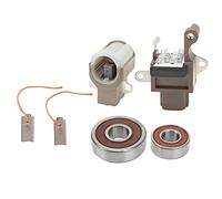 Xiuganpo Kit de Reparación de Alternador de Repuesto para : 2 Rodamientos, 2 Cepillos, 1 Rectificador, 1 Portaescobillas para Mecánica de bricolaje.