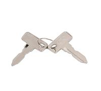 Xiuganpo Paquete de 2 Llaves de Encendido 1012505, Llaves de Repuesto de Metal, Llave Automotriz a Prueba de Herrumbre para Coches Eléctricos y de Gasolina Tempo 2018 en Adelante