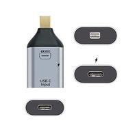 xiwai Adaptador de corriente USB-C tipo C hembra a Mini Displayport DP Sink HDTV y PD 4K 60Hz 1080p para teléfono y portátil