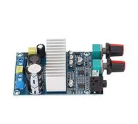 Xixian Tablero de Amplificador Digital de 100 W, Módulo de AMP de Subwoofer para Altavoz de Bricolaje con Alta Eficiencia, Potencia Profesional y Rendimiento Estable, Adecuado para