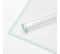 XIZHI 20 piezas de papel de regalo de flores transparentes impermeables con borde negro, papel de embalaje de regalo, manualidades, ramo de flores, 23 x 23 pulgadas (verde claro)