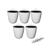 XIZHI 5 macetas de Flores para Colgar en el Agua, Plantas suculentas y pequeñas macetas de Flores, macetas de Interior, Colgar en la Pared, Maceta para Ventana con 5 Ganchos, Color Blanco