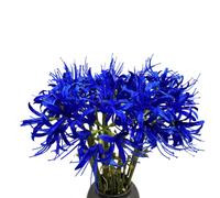 XIZHI 5 Tallos de Flores Artificiales de Lirio de araña de 23.6 Pulgadas, Bombillas de Lirios de araña, Flores Artificiales con Tallo Largo, Hotel, decoración de jardín (Azul)