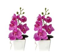 XIZHI Paquete de 2 orquídeas Artificiales con jarrón, Plantas Artificiales de 10 Pulgadas, Flores de Seda, orquídea Mariposa con Maceta para Boda, Oficina, decoración del hogar, centros de Mesa de