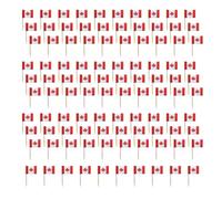 Xjdzineq 100 piezas de bandera internacional colorida, papel, madera, palillos de dientes, cupcakes, decoración para tartas para eventos de fútbol, fiestas, palillos de dientes