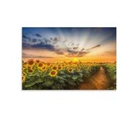 XJmoney Path through Sunflowers Painting Wall Art - Painting Wall Decor Art Print Poster Modern Pictures for Living Room Bedroom Bathroom Decor 16x24inch(40x60cm) Ready to Hang