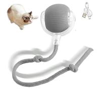 XJPXFQ Juguetes for Gatos Juguetes interactivos Canto de pájaros Pelota rodante for Gatos Accesorios for Gatos Sensor de Movimiento Activado for Gatitos Cosas for Gatos(4)