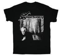 XKDSERTUTK Vintage Sanctuary INTO The Mirror Cotton Men T-ShirtBlackXXL