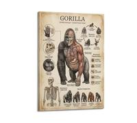 XKUGA Póster de anatomía de gorila con guía de animales para niños, impresiones decorativas modernas en lienzo, arte de pared ideal para familia, cueva de hombre, sala de juegos, dormitorio de niños y