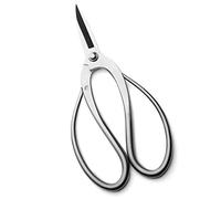 XLANDALYUEFA Tijeras para Manualidades, Tijeras artesanales Bonsai Podadoras Herramientas