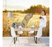 XLMING Cubo Golden Prairie Girl Animal Dog 3D Papel Pintado Lujo Casa Sala Decoración Estar Comedor Sofá Dormitorio TV Fondo de Pared-350cm×256cm
