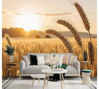 XLMING Estético Atardecer Campos De Trigo Dorados Montañas Luz Cálida 3D Papel Pintado Pared Premium Textura Seda Estudio Comedor Vinilos Dormitorio Sofás TV Cocina-150cm×105cm