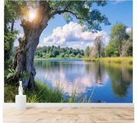 XLMING Lago Tranquilo Cielo Azul Nubes Blancas Bosque Reflejo 3D Papel Pintado Tapiz Textura de Seda Oficina Comedor Sofá Dormitorio Sala Estar TV Fondo Pantalla-250cm×170cm