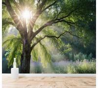XLMING Luz Del Sol Árboles Verdes Bosques Flores Silvestres Niebla Matinal 3D Papel Pintado Pared Premium Textura Seda Estudio Comedor Vinilos Dormitorio Sofás TV Cocina-350cm×256cm