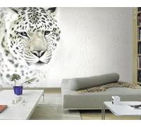 XLMING Minimalista Animal Guepardo Leopardo Feroz 3D Papel Pintado Lujo Casa Sala Decoración Estar Comedor Sofá Dormitorio TV Fondo de Pared-430cm×300cm