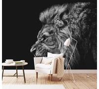 XLMING Minimalista Tridimensional Blanco Y Negro León Original Papel Pintado 3D Seda De Lujo Pared Estudio Comedor Sofa Dormitorio Madera Salon Tv Decorativo-350cm×256cm