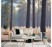 XLMING Pinos Envueltos En Niebla Bosque Pradera Dorada Luz Del Amanecer Paisaje Natural 3D Papel Pintado Tapiz Textura de Seda Oficina Comedor Sofá Dormitorio Sala Estar TV Fondo Pantalla-150cm×105cm