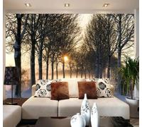 XLMING Tridimensional Luz Solar Bosque Sendero Extensión Del Espacio Papel Pintado 3D Seda De Lujo Pared Estudio Comedor Sofa Dormitorio Madera Salon Tv Decorativo-430cm×300cm