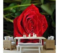 XLMING Tridimensional Minimalista Rojo Rosa Gotas De Agua 3D Papel Pintado Pared Premium Textura Seda Estudio Comedor Vinilos Dormitorio Sofás TV Cocina-150cm×105cm