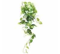 XLWLLNJ Simuladas Enredadera Artificial Planta Colgante Guirnalda Rama Decorativa Material Plástico con Tacto Ligero y Flexible Que Se Adapta a Arreglos, Verde, Hoja De Potos Verde Jaspeado