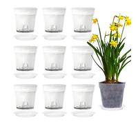 Xmart 10 Piezas 11,5cm Macetas para Orquídeas Transparente con Agujeros y 10 Bandeja Maceta Orquidea Macetero Orquidea de Plástico para Balcón Interior y Exterior