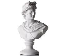 XMGZQ Estatua griega de David de 11.8 pulgadas, busto romano clásico para Apolo, escultura grande de mitología griega para decoración del hogar, escultura de Apolo de cabeza vintage para academia