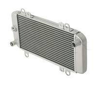 XMT-MOTOR Motocicleta Radiador Adecuado para Kawasaki Ninja 250R EX250J 2008-2012