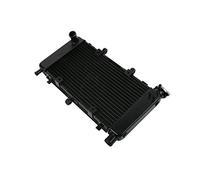 XMT-MOTOR Motocicleta Radiador Adecuado para Yamaha FZ6 FZ6N FZ6S 2004-2006