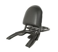 XMT-MOTOR Respaldo Sissy Bar Portaequipajes Negro para Harley Davidson V-Rod VRSCSE 2005 VRSCA VRSCB VRSCD 2002-2006