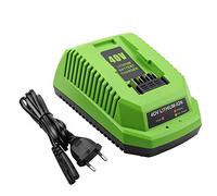 XNJTG Cargador de repuesto para Greenworks 40 V cargador G40C para dispositivos y baterías de la serie Greenworks 40 V