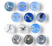 XoeLLe 12 Piezas Gaviota Imanes Nevera, 3D Imanes Pequeños, Redondos Magnets, Imanes Nevera Niños, Imanes Pizarra Mgnetica para Pizarra Magnetica Nevera, Pizarra, Cocinas, Oficinas (30mm)
