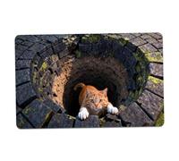 Xoeryoy Alfombra 3D, Felpudo de Abismo sin Fin de 40 x 60 cm con Terciopelo de Cristal Suave y Respaldo Antideslizante, decoración única para el hogar para Entrada, baño, Cocina; 1