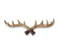 Xoeryoy Antler Coat Rack, Rustic Antler Wall Decor with Hooks, Sturdy Resin Deer Rack Wall Mount for Coats, Keys, and Hats, Easy to Install (15.7x5.5 Inch)