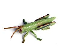 Xoeryoy Colección de Insectos y Juguetes de Saltamontes: Figuras de Saltamontes Muy detalladas para Que los niños aprendan, estudien la Naturaleza, decoren Halloween y expongan Ciencia