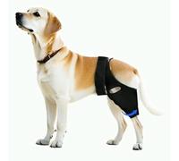 Xoesu Rodillera ajustable para perro para ACL, CCL, displasia de cadera y lesiones de ligamentos, se adapta a perros pequeños, medianos y grandes, alivio del dolor y estabilidad con 10 estabilizadores