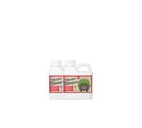Xpert Nutrients Master Bloom A+B (1L) - Fertilizante de floración básico para la fase de floración de las plantas, Nutrición de floración universal, Estimulador de floración interior y exterior