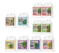 Xpert Nutrients Master Pack 10 x 250 ml - Paquete completo de nutrientes de la A a la Z, los mejores ingredientes para sus plantas durante la fase de crecimiento y floración