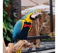 XQIGI Pañal para pájaros, lavable, reutilizable, traje de vuelo, pañal protector transpirable, para periquito, guacamayo, periquito, canario, cacatúa (negro, XXL)